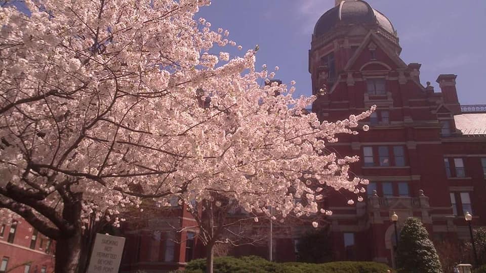 4 Mùa Ở BALTIMORE