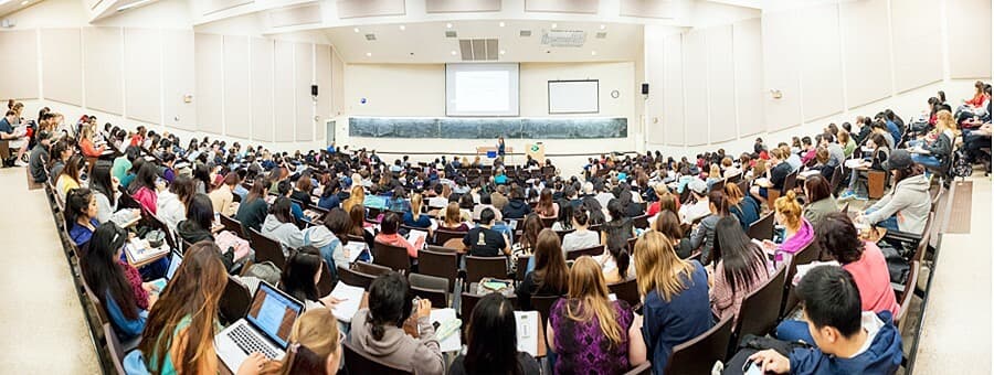 Tản Mạng Về Làm Teaching Assistant Ở Đại Học